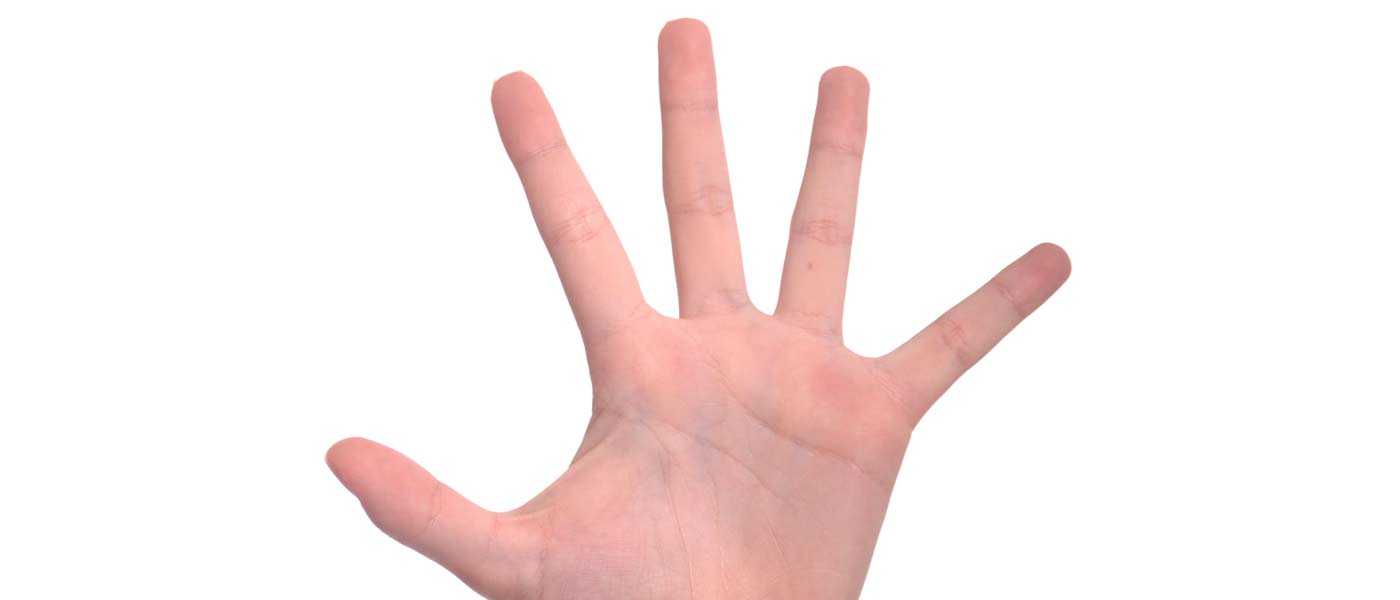 5 dedos